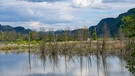 Slow Trail durch das Bleistätter Moor am Ossiacher See | Bild: BR; Folkert Lenz