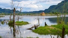 Slow Trail durch das Bleistätter Moor am Ossiacher See | Bild: BR; Folkert Lenz