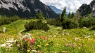 Bayerische Alpen im Rotwandgebiet. | Bild: BR/Sylvia Bentele
