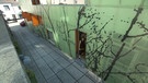 Ein Baumhaus mitten in der Altstadt | Bild: BR
