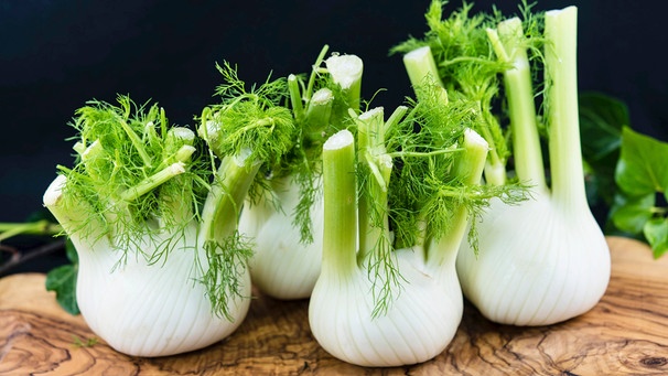 Fenchel | Bild: picture-alliance/dpa/blickwinkel/Steidi Fenchel | Bild: picture-alliance/dpa/blickwinkel/Steidi