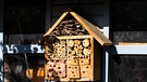 Insektenhotel | Bild: BR/Sylvia Bentele