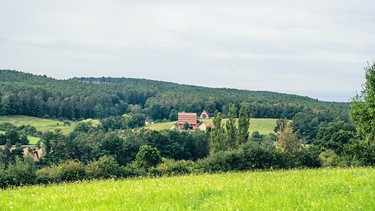 Spalter Hügelland | Bild: BR / Nina Schlesener
