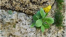 Botanischer Garten in Hof. | Bild: Albrecht Kalusche, Zwickau, 15.05.2025