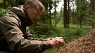 Mann untersucht Ameisenhügel | Bild: Bayerischer Rundfunk 2025