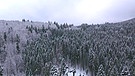 50 Jahre Nationalpark Bayerischer Wald | Bild: Bayerischer Rundfunk