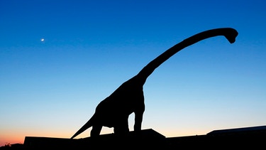 Das Model eines Brachiosaurus steht im "Raptor Park" in Lingreville in der Normandy (Frankreich). | Bild: picture alliance / Photononstop | Christophe Lehenaff