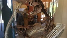 Naracoorte Höhle in Australien | Bild: Ines Lutz