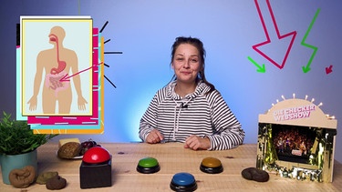 Das große Geschäft · Eine echte Kack-Folge | Checkerin Marina sitzt mit einer Grafik zum Verdauungstrakt im Studio. | Bild: BR | megaherz GmbH | David Birzer