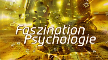 Sendungsbild: telekolleg Psychologie | Bild: BR
