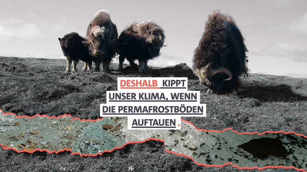 Deshalb kippt unser Klima, wenn die Permafrostböden auftauen. | Bild: BR